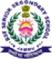 Bsf Senior Secondary school logo