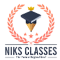 Niks-Classes---Vashali-logo