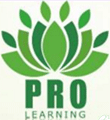 Pro-Learning-Academy-logo