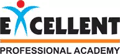 Excellent Professional Academy logo