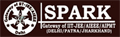 Spark-Academy-logo