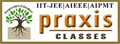 Praxis-Classes-logo