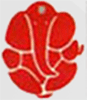 Binayak-Institute-logo