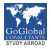 Go Global Consultants