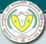 Vision IIT-JEE and PMT logo