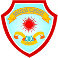 Success Classes logo