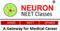 Neuron Classes