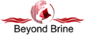 BeyondBrine