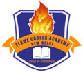 Flame-Career-Academy-logo