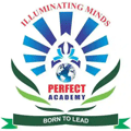 Perfect-Academy-logo