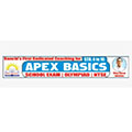 Apex Basics