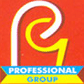 Professional Group logo