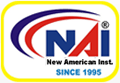 New American Institute logo