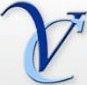 Vilay Classes logo