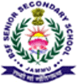 B.S.F. Senior Secondary School logo