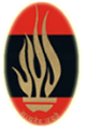 Summerfield School logo
