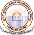Holy Angel Senior Secondary School logo