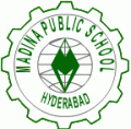 Madina Public School logo