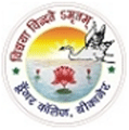 Government Dungar College logo