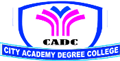City Academy Degree College logo