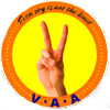 Vasundhara Aviation Academy logo