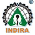 Indira National School logo