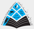 Ansar-Arabic-College-logo