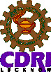 Central Drug Research Institute (CDRI)