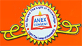 Anex Convent Nursery School logo