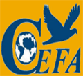 CEFA-Institute-of-Mangement