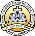 Carmel Convent Senior Secondary School