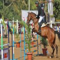 Ambur Equestrian Challenge 2018