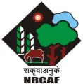 National Research Centre for Agroforestry (NRCAF)