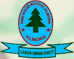 Pine Wood School logo
