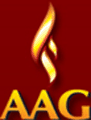 Academy of Animation and Gaming logo