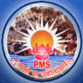 Pitts Modern School logo