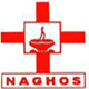 N.H. School of Nursing logo