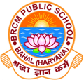 B.R.C.M. Public School logo