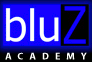 Bluz Academy logo