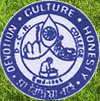 Dhruba Chand Halder College logo