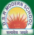 DSR Modern School logo