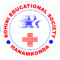 Rohini school of Nursing and Rohini College of Nursing logo