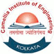Camellia Institute of Engineering (CIE) logo