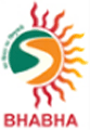 Bhabha-Public-School-logo
