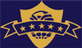 Merit International Institute of Technology logo