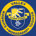 Summer Valley School
