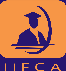 Institute of Finance and Computer Accounting (IIFCA) logo
