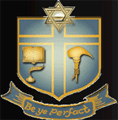 St. Stephen's Senior Secondary School logo