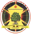 Emerald Convent School logo