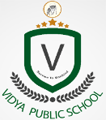 Vidya Public School